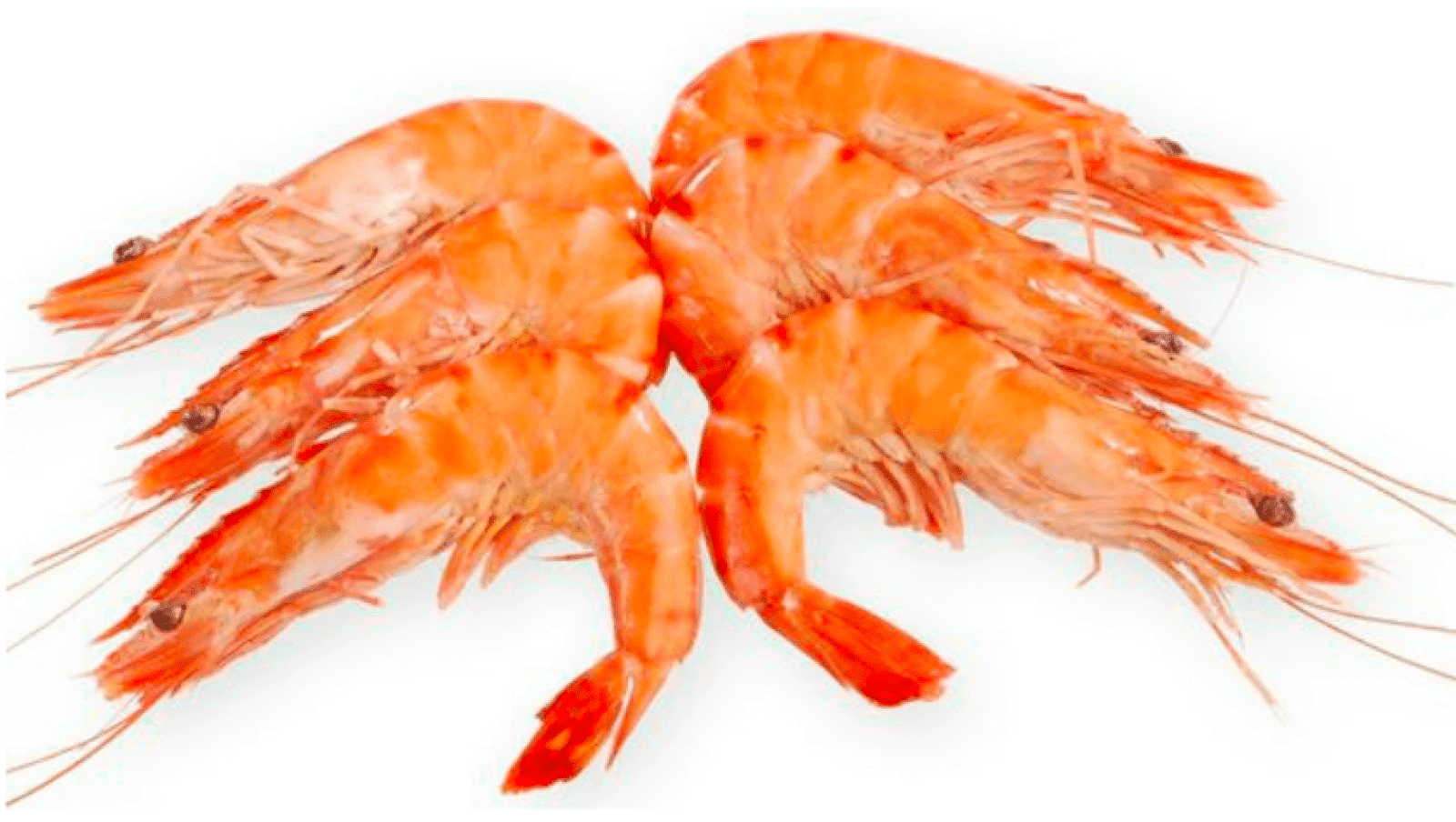 6 Pièces de crevettes