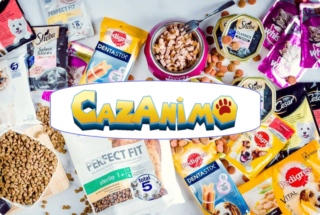 Cazanimo - Said Hamdine